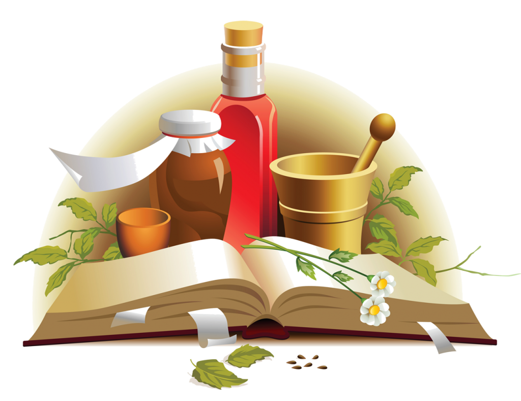 free-vector-chinese-herbal-medicine-material_014817_shuben copy